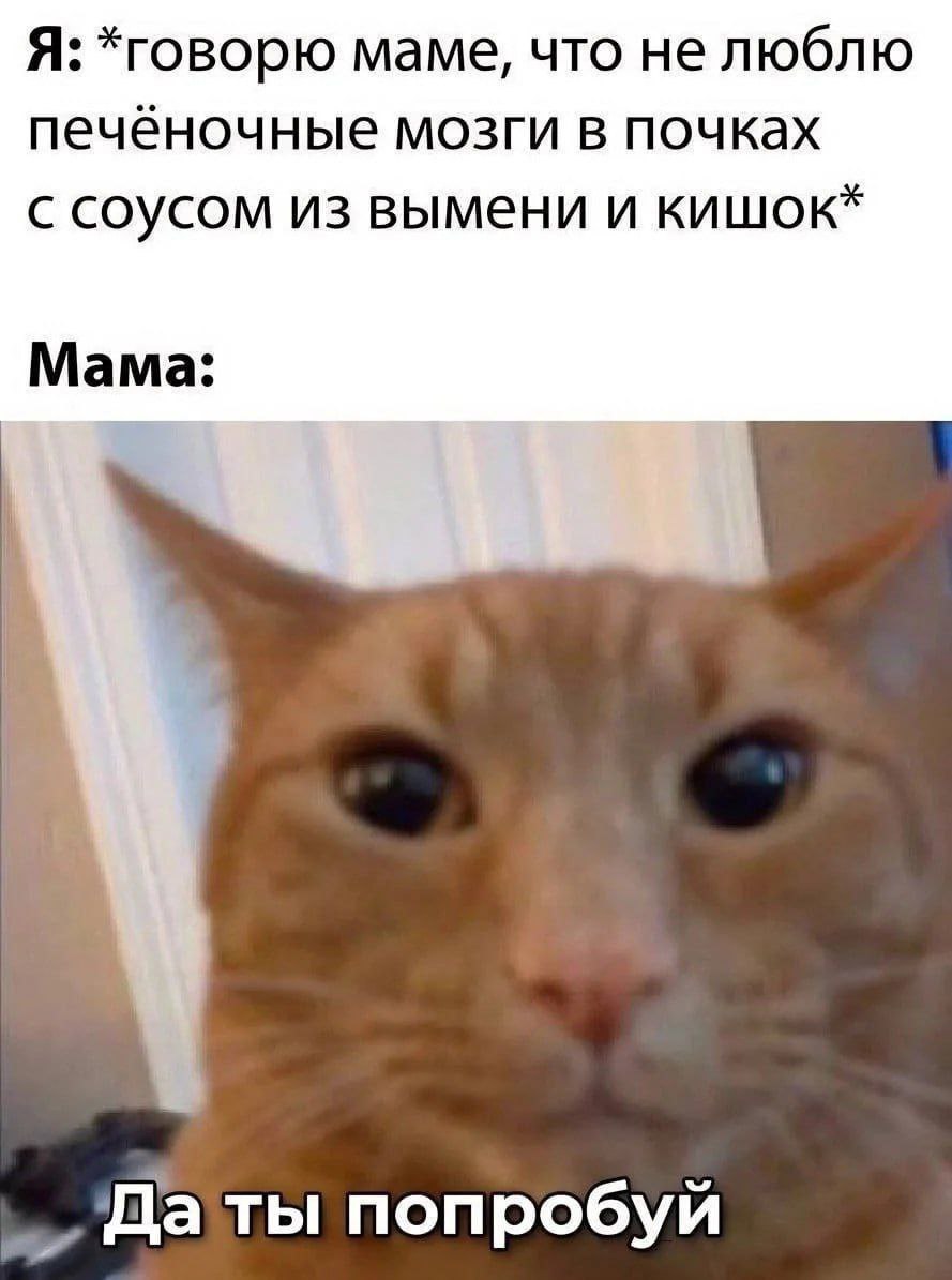 Я: *говорю маме, что не люблю печёночные мозги в почках с соусом из вымени и кишок* Мама: „Даты попробуй