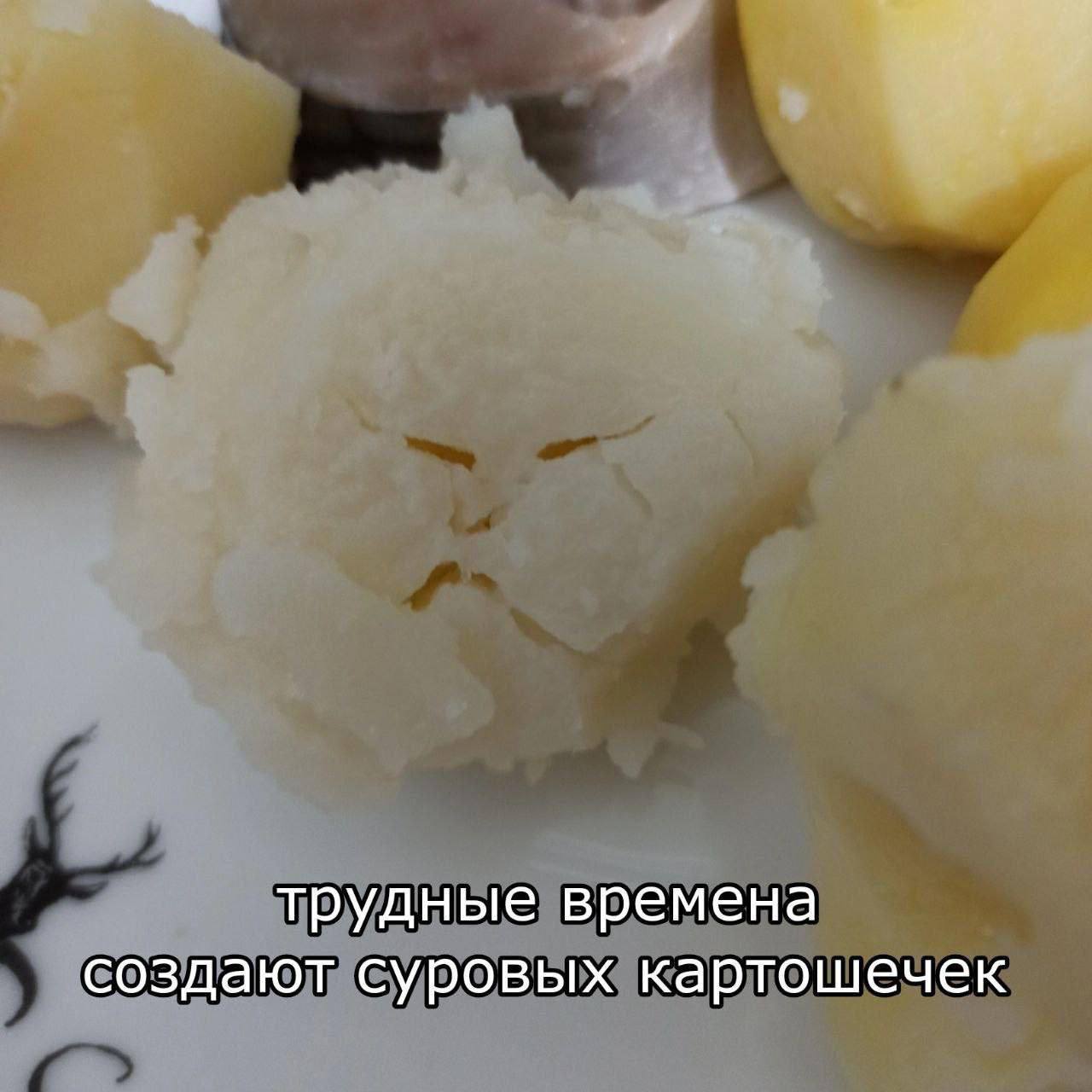 трудные времена создают суровых картошечек