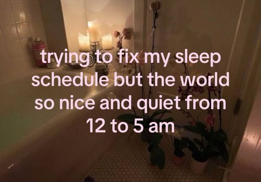 trying to fix my sleep schedule but the world so nice and quiet from 12 {о 5