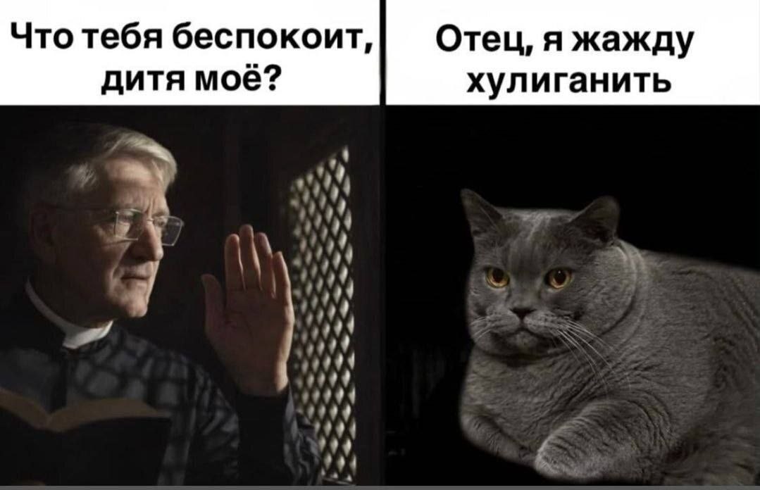 Что тебя беспокоит, Отец, я жажду дитя моё? хулиганить