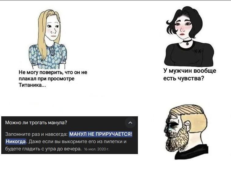 5 46 с.) 6 Не могу поверить, что он не мужчин вообще плакал при просмотре есть чувства? Титаника... Можно ли трогать манула? Запомните раз и навсегда: МАНУЛ НЕ ПРИРУЧАЕТСЯ! Никогда. Даже если вы выкор