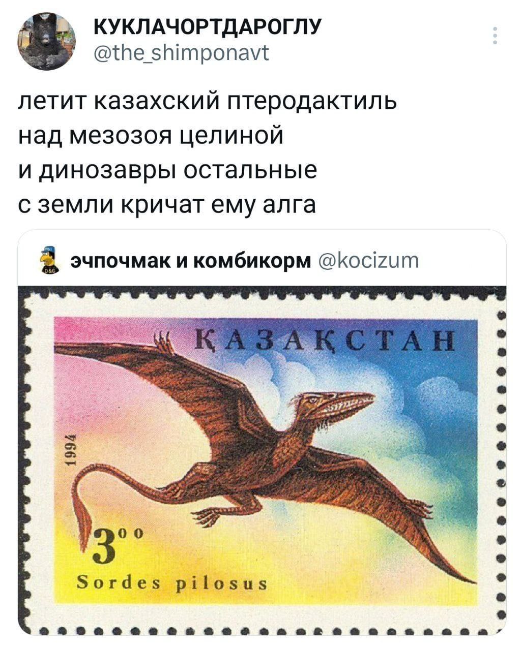 КУКЛАЧОРТДАРОГЛУ @the_ shimponavt летит казахский птеродактиль над мезозоя целиной и динозавры остальные с земли кричат ему алга эчпочмак и комбикорм @kocizum о Sordes pilosus