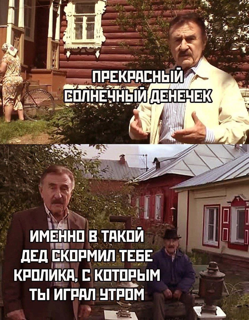 4 ПРЕКРАСНЫЙ ЕОЛНЕЧНЫЙ ДЕНЕЧЕК ИМЕННО В ТАКОИ ДЕД СКОРМИЛ ТЕБЕ КРОЛИКА, С КОТОРЫМ ТЫ ИГРАЛ УТРОМ