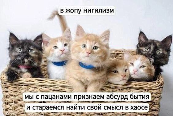 Ну, допустим, мы