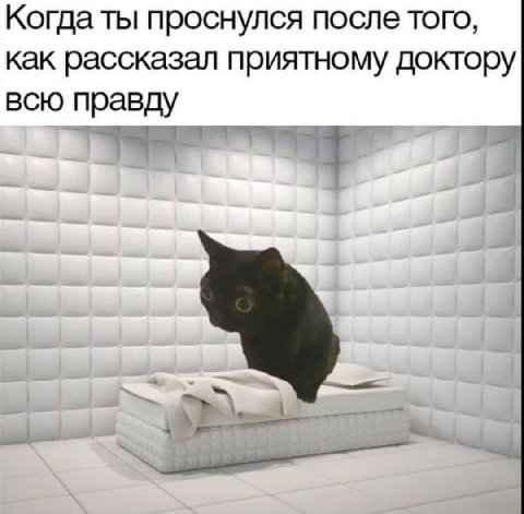 Когда ты проснулся после того, как рассказал приятному доктору всю правду