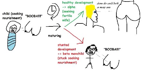 healthy development she could birth alpha 50 ТАНИ SONS (seeking child (seeking fertile nourishment) wife) 7 maturing 7) stunted development beta manchild (stuck seeking nourishment)