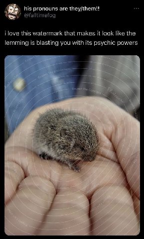 his pronouns are they/them!! @falltimefog i love this watermark that makes it look like the lemming is blasting you with its psychic powers