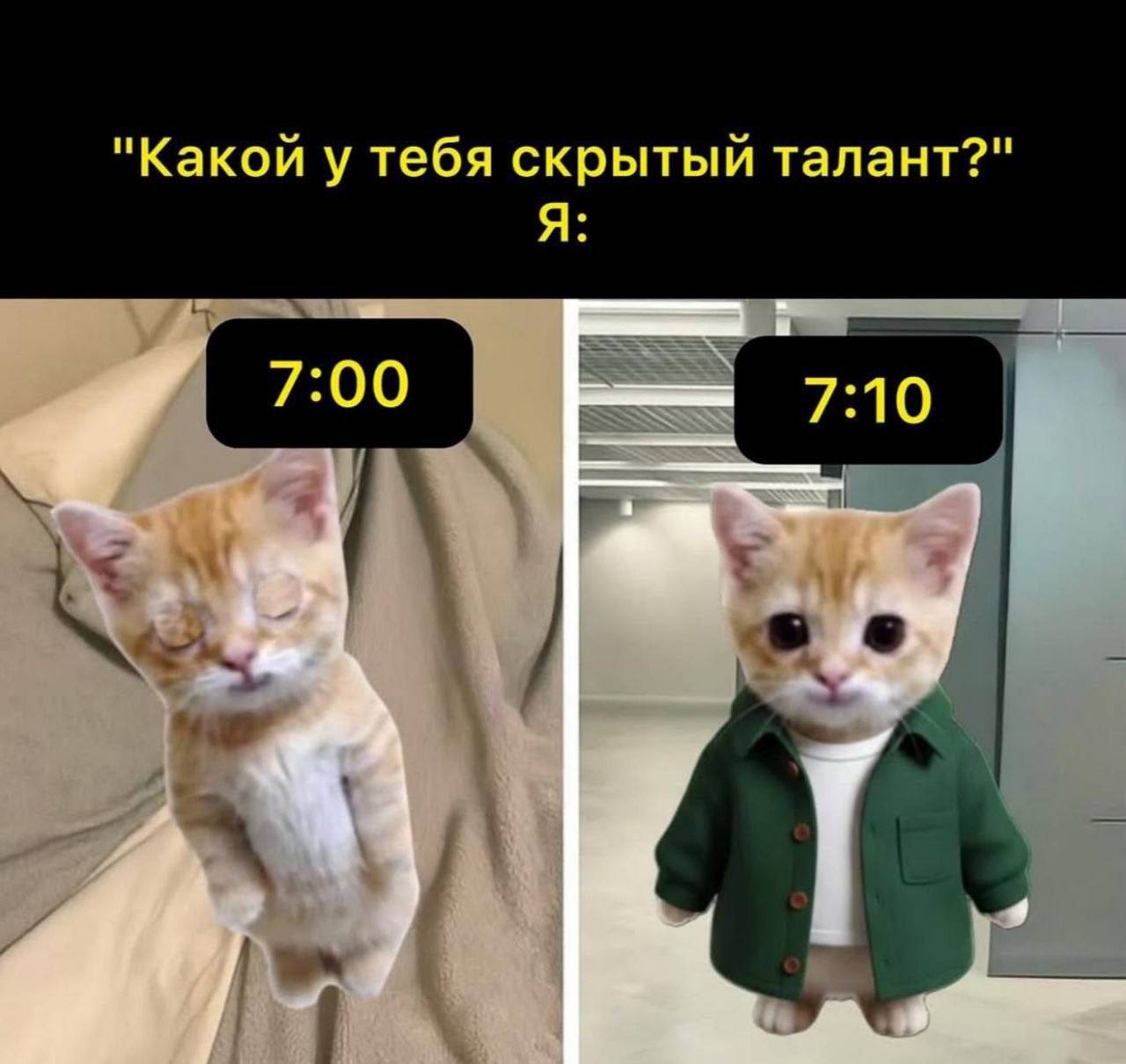 "Какой у тебя скрытый талант?" Я: