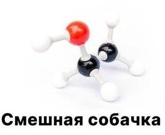 Смешная собачка
