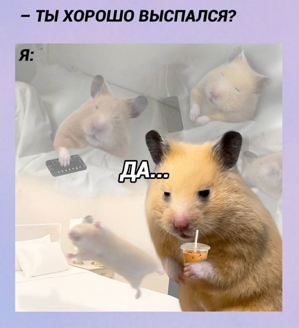 ТЫ ХОРОШО ВЫСПАЛСЯ?