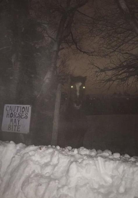 с MAY BITE