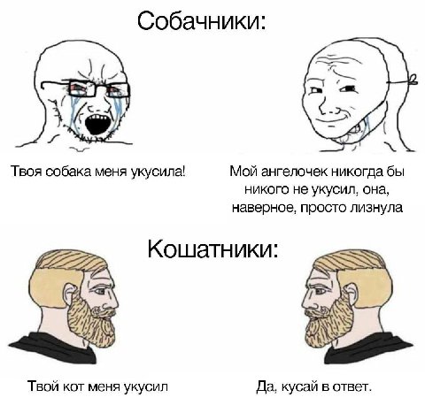 Собачники: 7 Твоя собака меня укусила! Мой ангелочек никогда бы никого не укусил, она, наверное, просто лизнула 2 Кошатники: Твой KOT меня укусил Да, кусай в ответ.