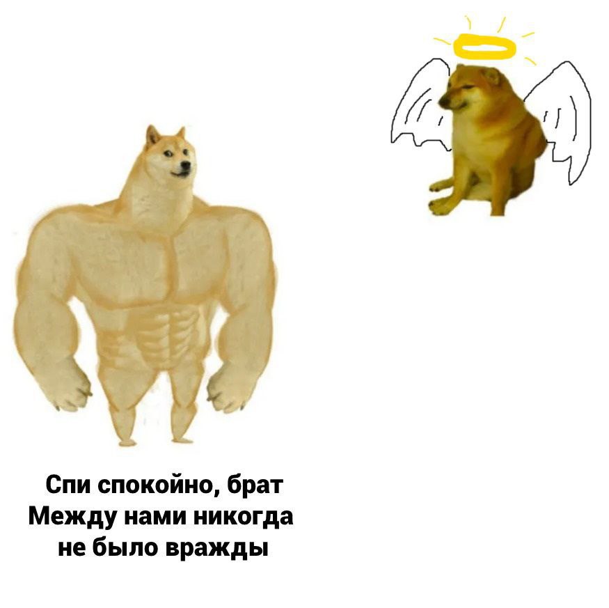 Спи спокойно, брат Между нами никогда не было вражды
