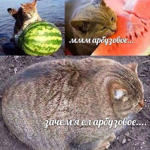 Мой любимый мем последнего месяца и сезона арбузов (который почти все) специально для моего любимого (и единственного в подписках!) щитпост мем канала https://t.me/jopniytt, чтобы Павла его репостнула