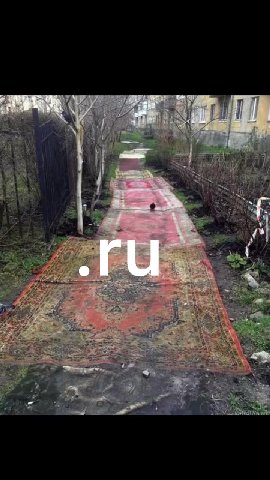 мем