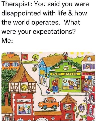 Therapist: You said you were disappointed with life how the world operates. What were your expectations? Me BAL