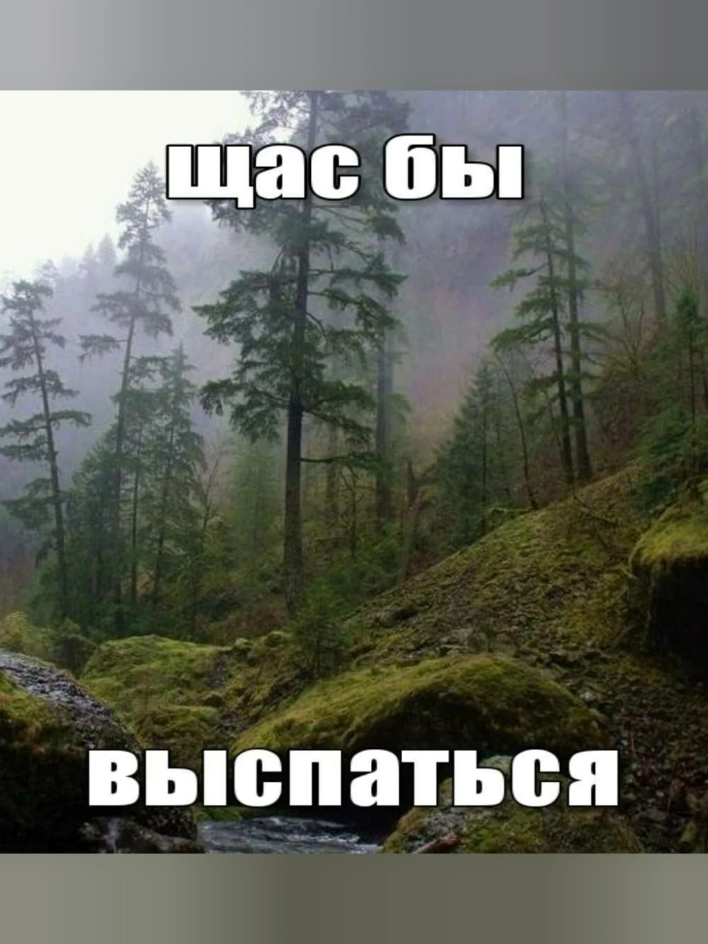 бы выспаться