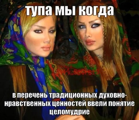 тупа мы когда в перечень традиционных духовно- нравственных ценностей ввели понятие целомудрие