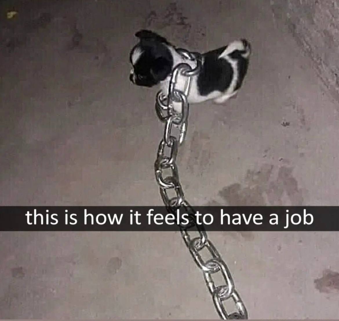 this is how it feels to have a job