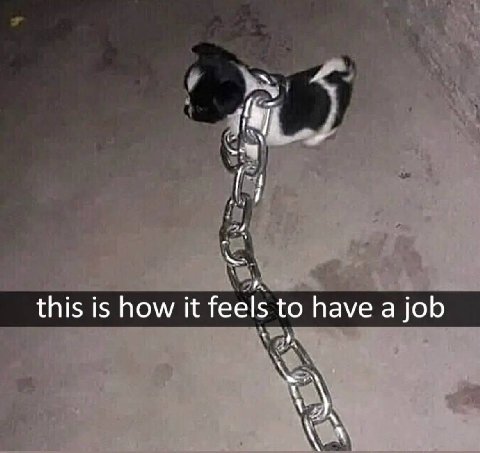 this is how it feels to have a job