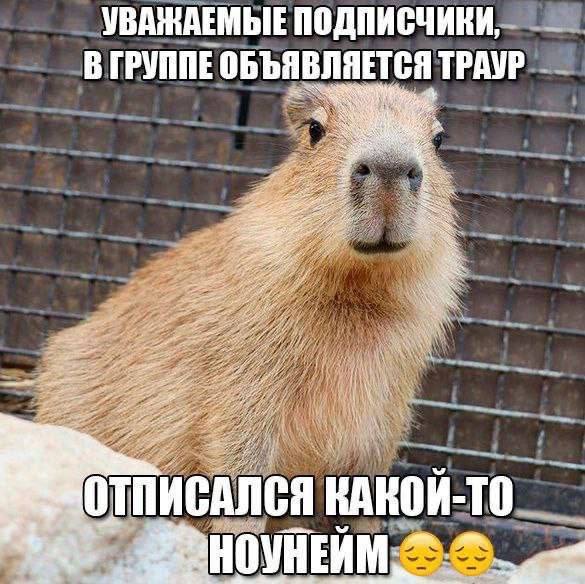 щитпостинг было и было