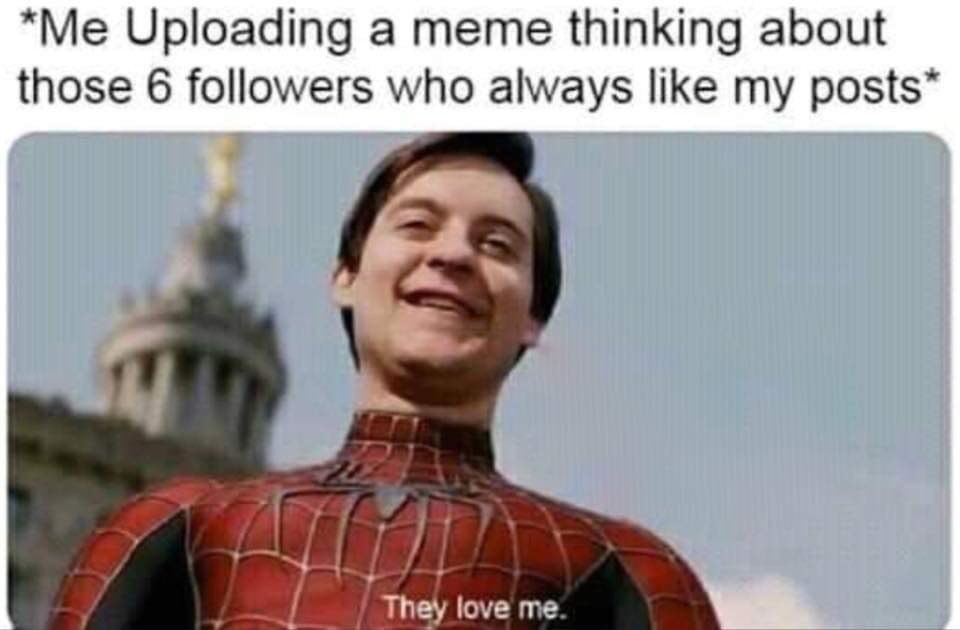 Uploading а meme thinking about those 6 followers who always like my posts” They love me.