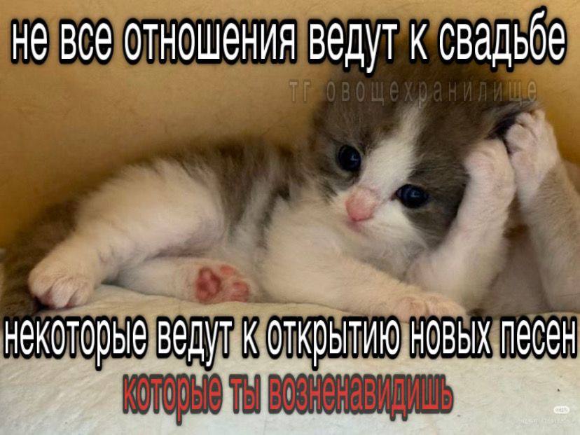 He все отношения ведут к свадьбе некоторые ведут к открытию песен
