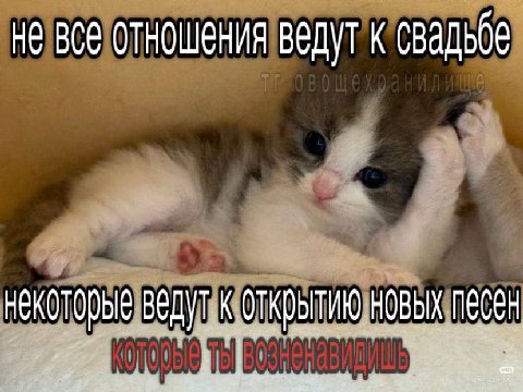 He все отношения ведут к свадьбе некоторые ведут к открытию песен