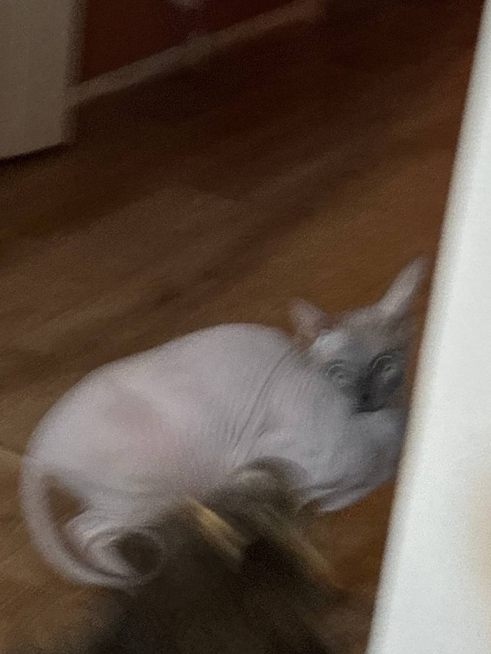 хуевина