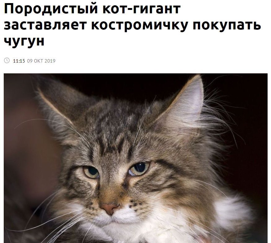 напоминаю