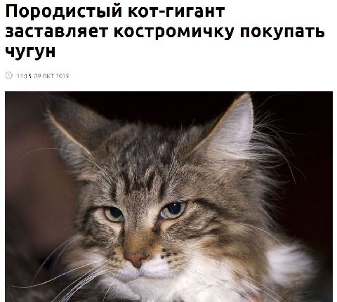 напоминаю