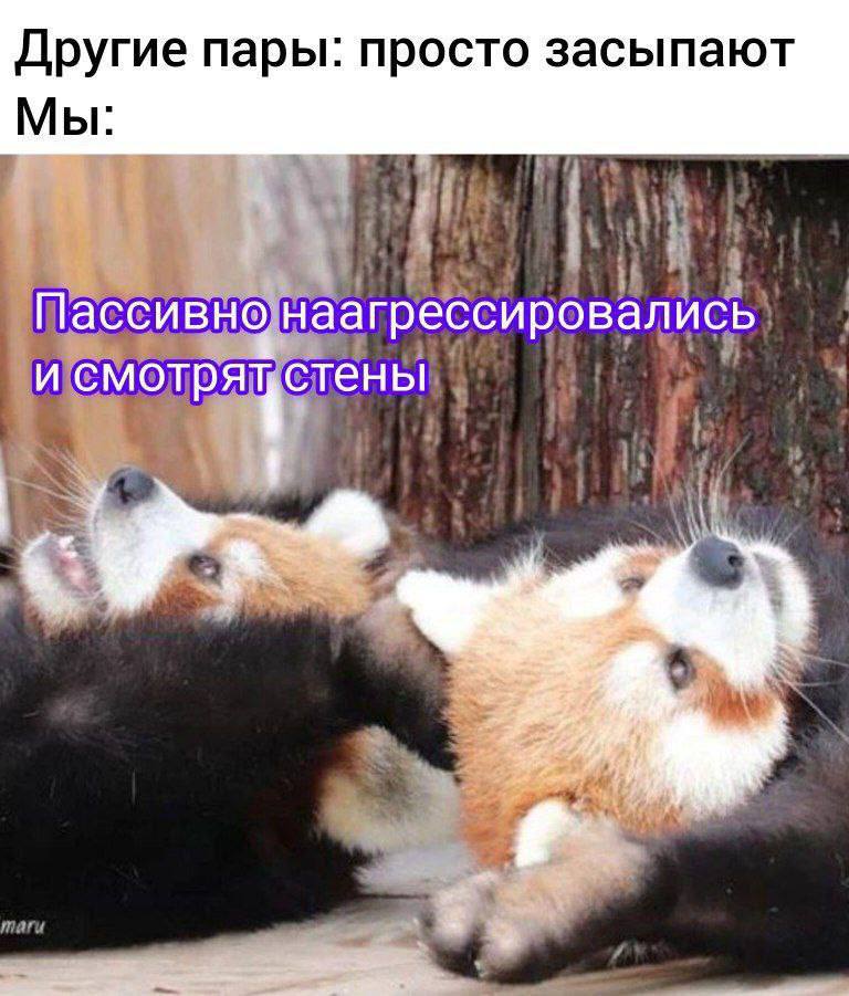 Другие пары: просто засыпают Мы: Пассивно наагрессировались и