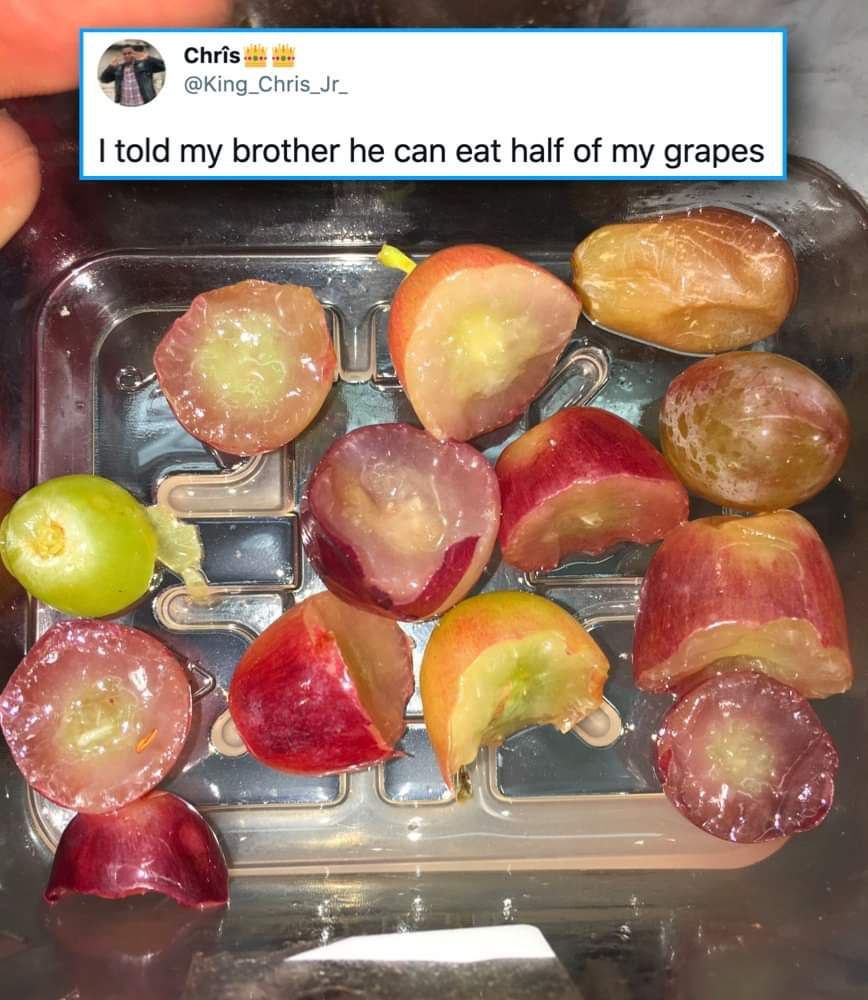 Chris @King_Chris_Jr_ it told my brother he can eat half of my grapes 4 A
