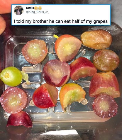 Chris @King_Chris_Jr_ it told my brother he can eat half of my grapes 4 A