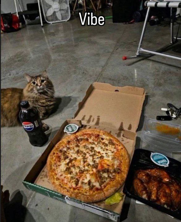 Vibe