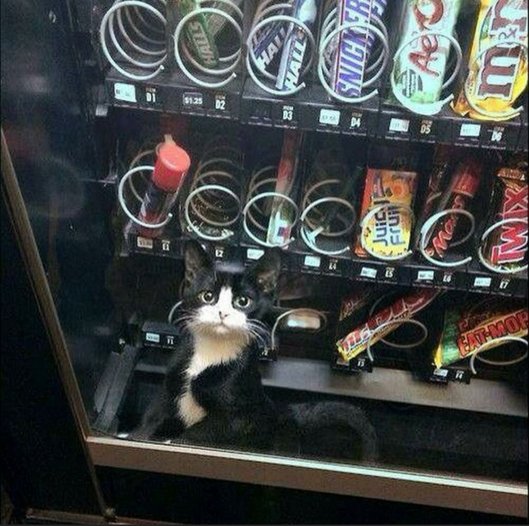 у a