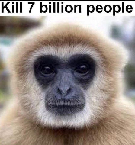 бля я