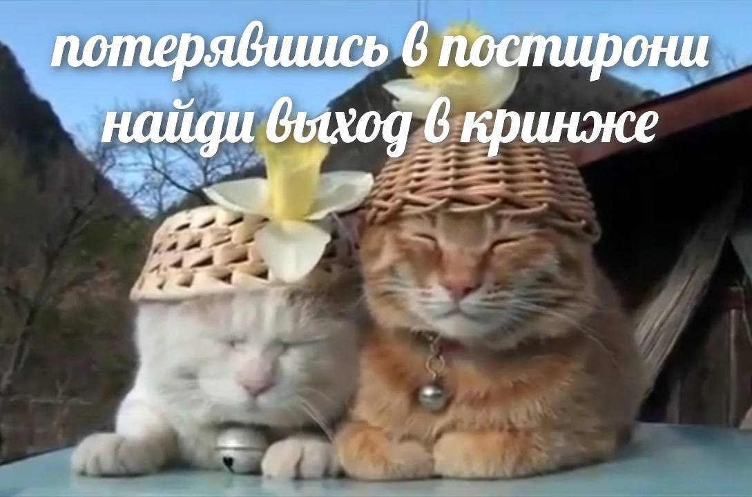 6 постирони найди выход 6 кринже