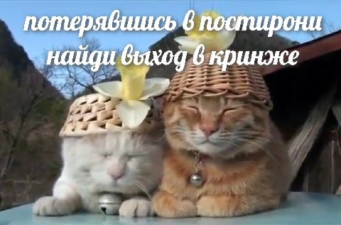 6 постирони найди выход 6 кринже