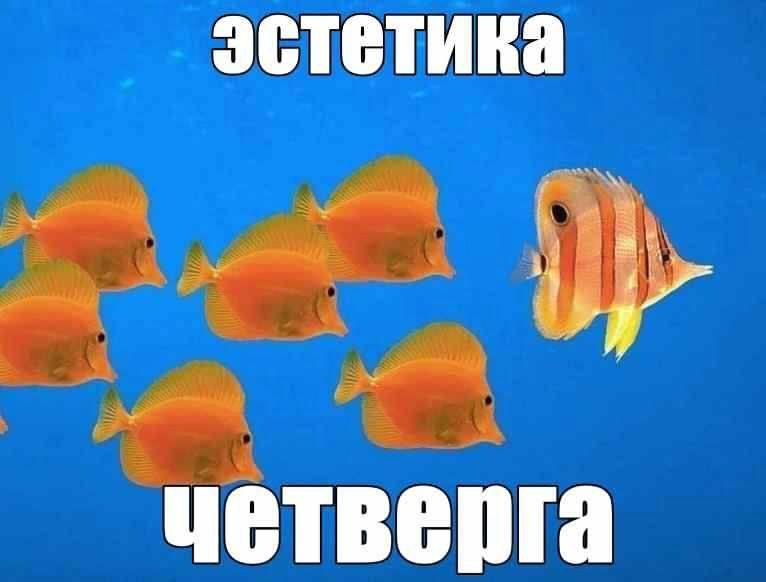 эстетика четверга