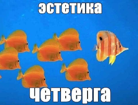 эстетика четверга