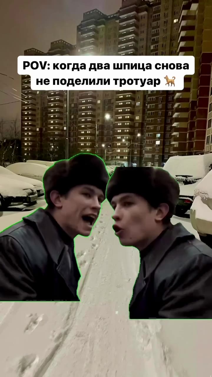 POV: когда два шпица снова | Е не поделили тротуар i |