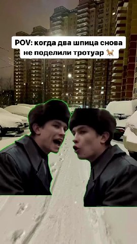 POV: когда два шпица снова | Е не поделили тротуар i |