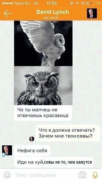 Wir ты малчеш He отвечаешь красавица Что я должна отвечать? Зачем мне 9 Нефига себя Иди на хуй,совы не то, чем кажутся