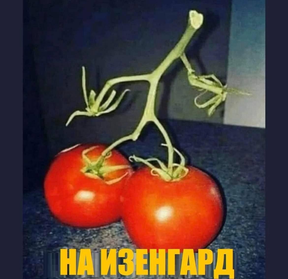 ИЗЕНГАРД