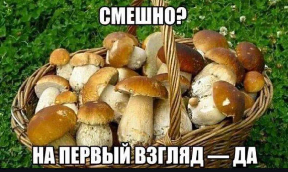 СМЕШНО? 4 a _НА ПЕРВЫЙ ВЗГЛЯД ДА