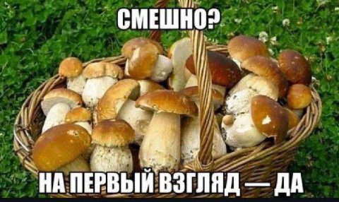 СМЕШНО? 4 a _НА ПЕРВЫЙ ВЗГЛЯД ДА