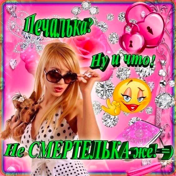 к 479 an 74
