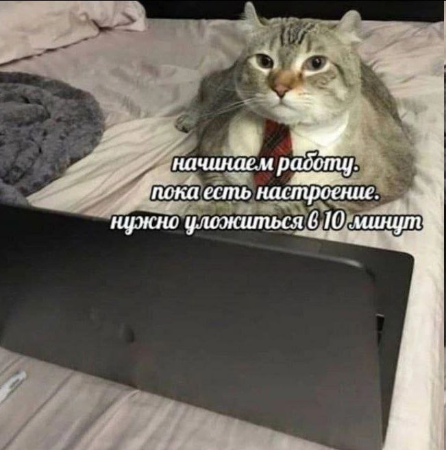 начинаем работц. пока есть настроение. нужно уложиться 6 10