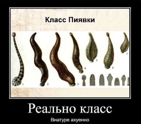 Класс Пиявки Реально класс Внатуре ахуенно